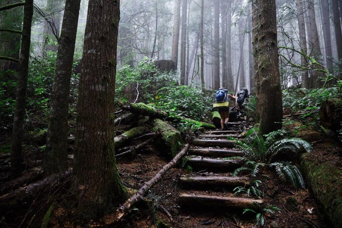 Villa The Great Escape - Port Renfrew Esterno foto